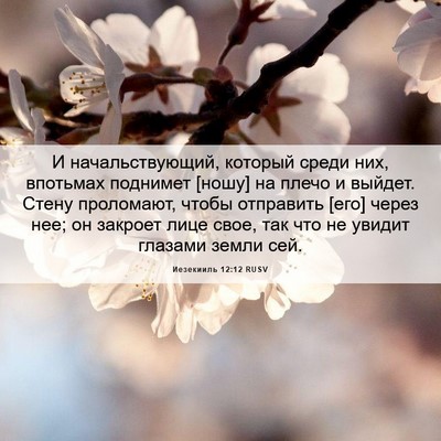 Picture 06 - Иезекииль 12:12 RUSV - И начальствующий, который - Bible Verse Picture