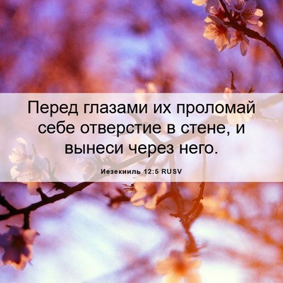 Picture 06 - Иезекииль 12:5 RUSV - Перед глазами их проломай - Bible Verse Picture