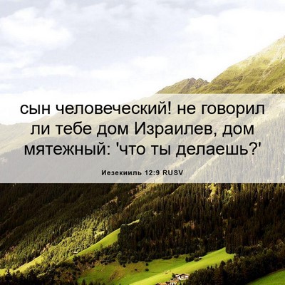 Picture 06 - Иезекииль 12:9 RUSV - сын человеческий! не - Bible Verse Picture