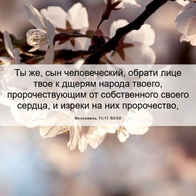 Picture 06 - Иезекииль 13:17 RUSV - Ты же, сын человеческий, - Bible Verse Picture