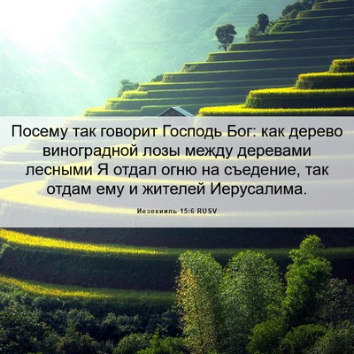 Picture 06 - Иезекииль 15:6 RUSV - Посему так говорит Господь - Bible Verse Picture