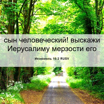 Picture 06 - Иезекииль 16:2 RUSV - сын человеческий! выскажи - Bible Verse Picture