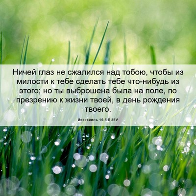 Picture 06 - Иезекииль 16:5 RUSV - Ничей глаз не сжалился над - Bible Verse Picture