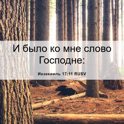 Picture 06 - Иезекииль 17:11 RUSV - И было ко мне слово - Bible Verse Picture