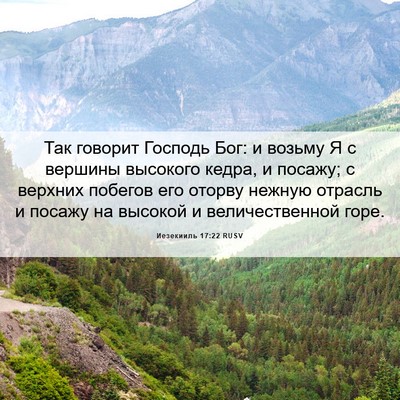 Picture 06 - Иезекииль 17:22 RUSV - Так говорит Господь Бог: и - Bible Verse Picture