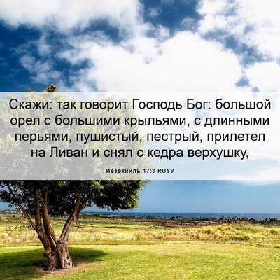 Picture 06 - Иезекииль 17:3 RUSV - Скажи: так говорит Господь - Bible Verse Picture