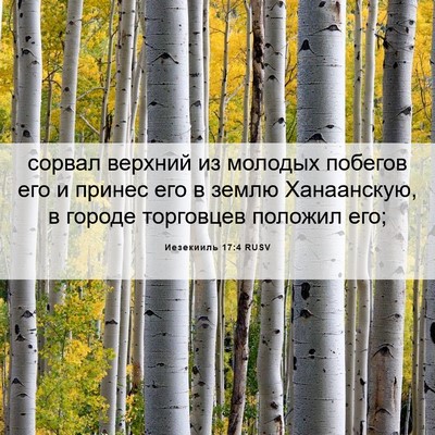 Picture 06 - Иезекииль 17:4 RUSV - сорвал верхний из молодых - Bible Verse Picture