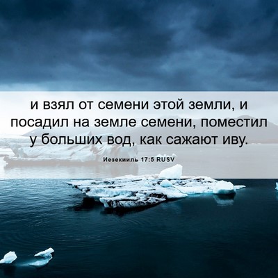 Picture 06 - Иезекииль 17:5 RUSV - и взял от семени этой - Bible Verse Picture