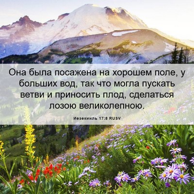 Picture 06 - Иезекииль 17:8 RUSV - Она была посажена на - Bible Verse Picture