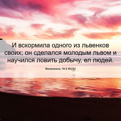 Picture 06 - Иезекииль 19:3 RUSV - И вскормила одного из - Bible Verse Picture