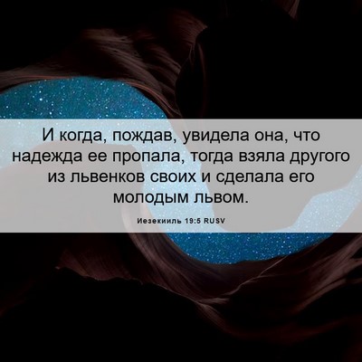 Picture 06 - Иезекииль 19:5 RUSV - И когда, пождав, увидела - Bible Verse Picture