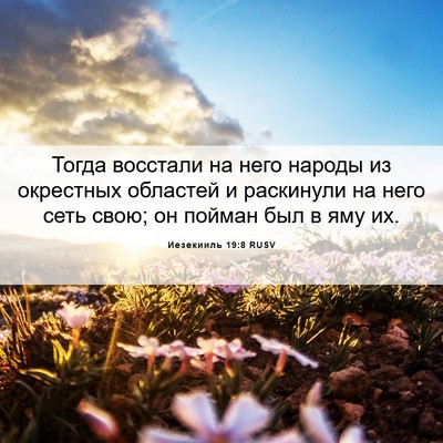 Picture 06 - Иезекииль 19:8 RUSV - Тогда восстали на него - Bible Verse Picture