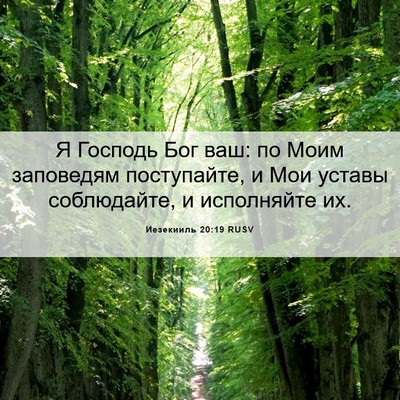 Picture 06 - Иезекииль 20:19 RUSV - Я Господь Бог ваш: по Моим - Bible Verse Picture