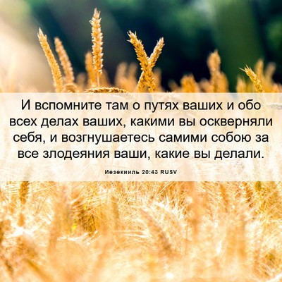 Picture 06 - Иезекииль 20:43 RUSV - И вспомните там о путях - Bible Verse Picture