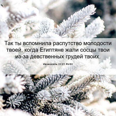 Picture 06 - Иезекииль 23:21 RUSV - Так ты вспомнила - Bible Verse Picture