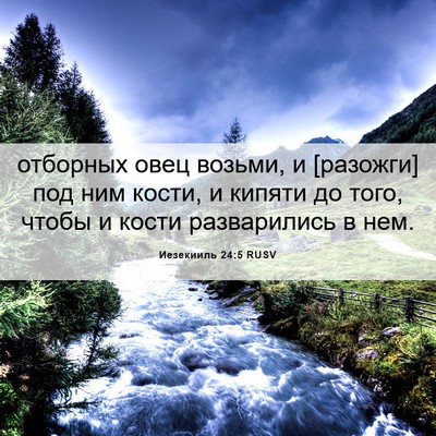 Picture 06 - Иезекииль 24:5 RUSV - отборных овец возьми, и - Bible Verse Picture