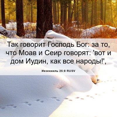 Picture 06 - Иезекииль 25:8 RUSV - Так говорит Господь Бог: за - Bible Verse Picture