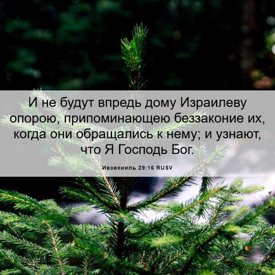 Picture 06 - Иезекииль 29:16 RUSV - И не будут впредь дому - Bible Verse Picture