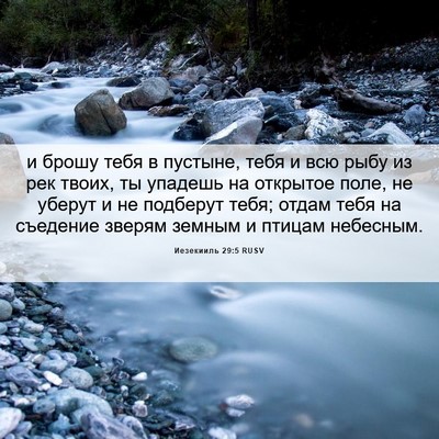 Picture 06 - Иезекииль 29:5 RUSV - и брошу тебя в пустыне, - Bible Verse Picture