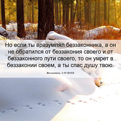 Picture 06 - Иезекииль 3:19 RUSV - Но если ты вразумлял - Bible Verse Picture