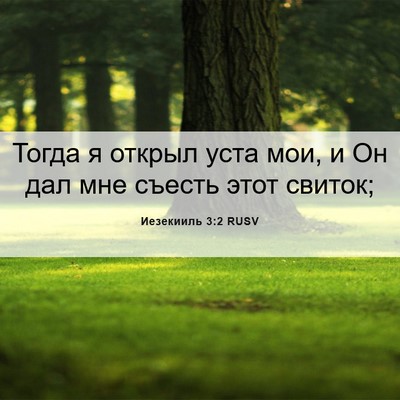 Picture 06 - Иезекииль 3:2 RUSV - Тогда я открыл уста мои, и - Bible Verse Picture