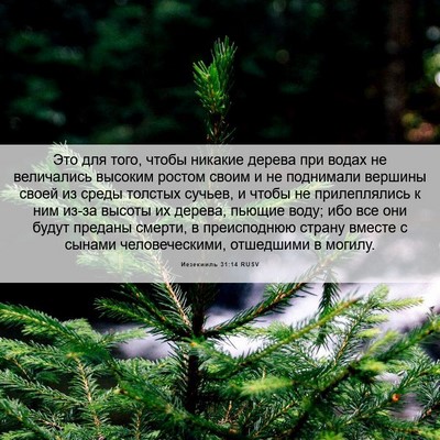 Picture 06 - Иезекииль 31:14 RUSV - Это для того, чтобы никакие - Bible Verse Picture