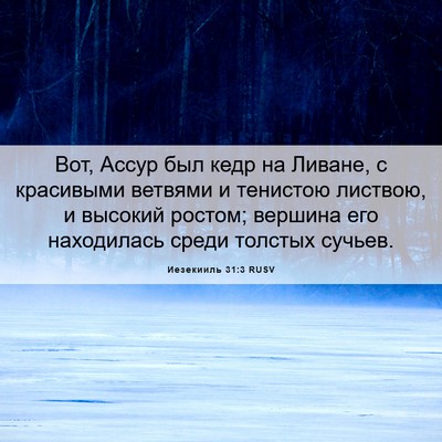 Picture 06 - Иезекииль 31:3 RUSV - Вот, Ассур был кедр на - Bible Verse Picture