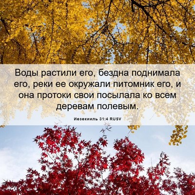 Picture 06 - Иезекииль 31:4 RUSV - Воды растили его, бездна - Bible Verse Picture