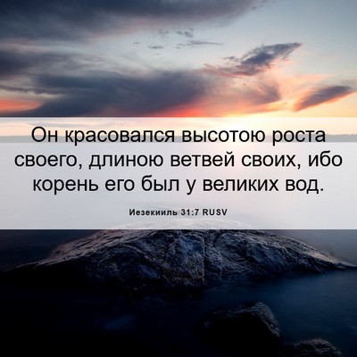 Picture 06 - Иезекииль 31:7 RUSV - Он красовался высотою - Bible Verse Picture