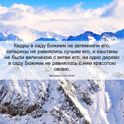 Picture 06 - Иезекииль 31:8 RUSV - Кедры в саду Божием не - Bible Verse Picture