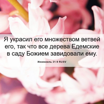 Picture 06 - Иезекииль 31:9 RUSV - Я украсил его множеством - Bible Verse Picture