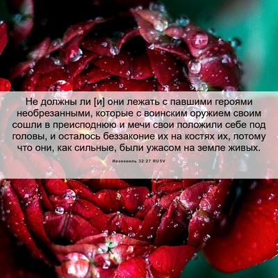 Picture 06 - Иезекииль 32:27 RUSV - Не должны ли [и] они лежать - Bible Verse Picture