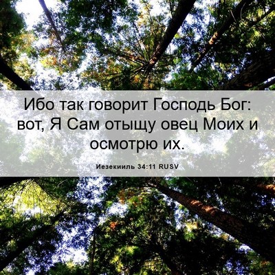 Picture 06 - Иезекииль 34:11 RUSV - Ибо так говорит Господь - Bible Verse Picture