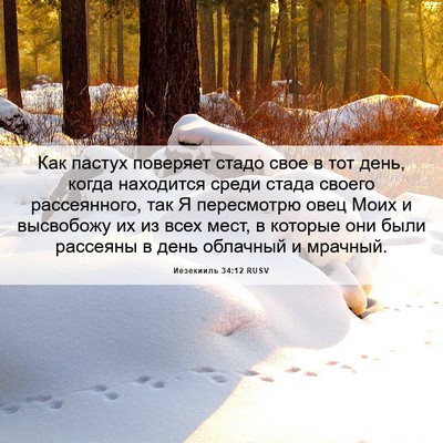Picture 06 - Иезекииль 34:12 RUSV - Как пастух поверяет стадо - Bible Verse Picture