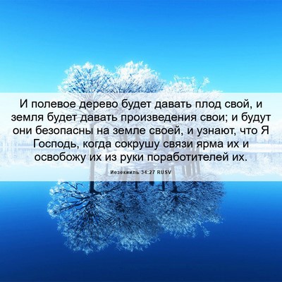 Picture 06 - Иезекииль 34:27 RUSV - И полевое дерево будет - Bible Verse Picture