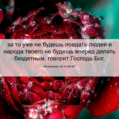 Picture 06 - Иезекииль 36:14 RUSV - за то уже не будешь поедать - Bible Verse Picture