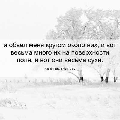 Picture 06 - Иезекииль 37:2 RUSV - и обвел меня кругом около - Bible Verse Picture