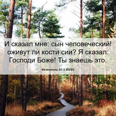 Picture 06 - Иезекииль 37:3 RUSV - И сказал мне: сын - Bible Verse Picture