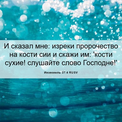 Picture 06 - Иезекииль 37:4 RUSV - И сказал мне: изреки - Bible Verse Picture