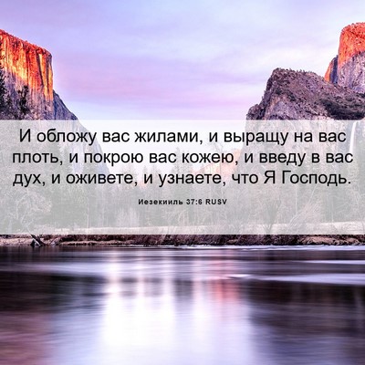Picture 06 - Иезекииль 37:6 RUSV - И обложу вас жилами, и - Bible Verse Picture