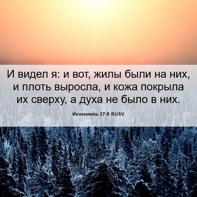 Picture 06 - Иезекииль 37:8 RUSV - И видел я: и вот, жилы были - Bible Verse Picture