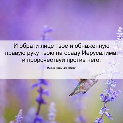 Picture 06 - Иезекииль 4:7 RUSV - И обрати лице твое и - Bible Verse Picture