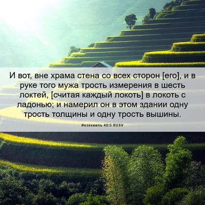 Picture 06 - Иезекииль 40:5 RUSV - И вот, вне храма стена со - Bible Verse Picture