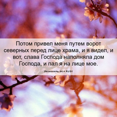 Picture 06 - Иезекииль 44:4 RUSV - Потом привел меня путем - Bible Verse Picture