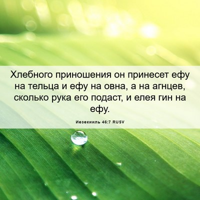 Picture 06 - Иезекииль 46:7 RUSV - Хлебного приношения он - Bible Verse Picture