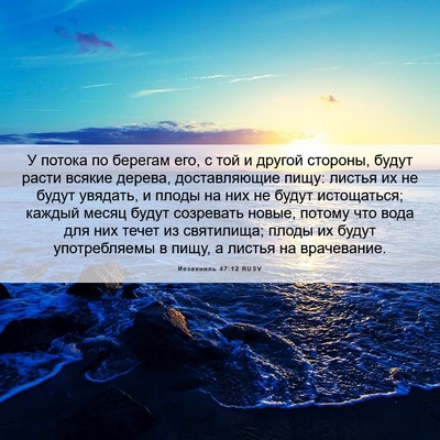 Picture 06 - Иезекииль 47:12 RUSV - У потока по берегам его, с - Bible Verse Picture