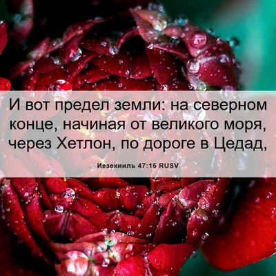 Picture 06 - Иезекииль 47:15 RUSV - И вот предел земли: на - Bible Verse Picture