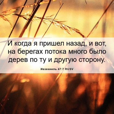 Picture 06 - Иезекииль 47:7 RUSV - И когда я пришел назад, и - Bible Verse Picture