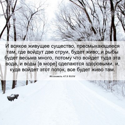 Picture 06 - Иезекииль 47:9 RUSV - И всякое живущее существо, - Bible Verse Picture