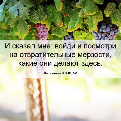Picture 06 - Иезекииль 8:9 RUSV - И сказал мне: войди и - Bible Verse Picture